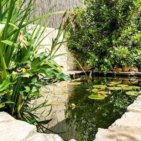 Old Stone House With Private Swimming Pool Ferienhaus Solin