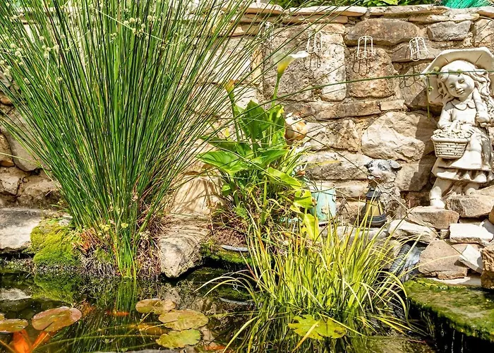 Old Stone House With Private Swimming Pool Vikendica *